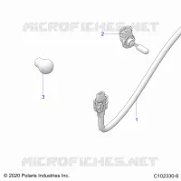 ELECTRICA, BULBS