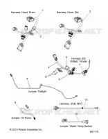 ELECTRICA, JUMPERS/WIRE HARNESS