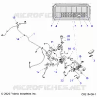 ELECTRICA, HARNESS