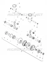 PISTON AND CIGUEÑAL (TRAIL) (4909500950033A)