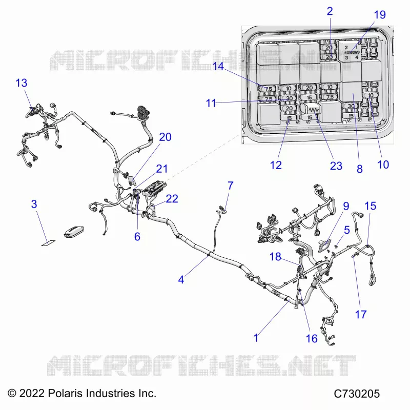 ELECTRICA, WIRE HARNESS