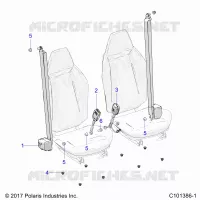 ASIENTO BELTS