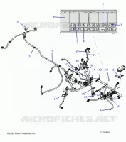 ELECTRICA, HARNESS
