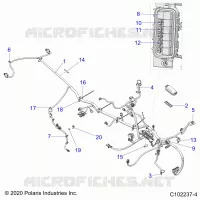 ELECTRICA, HARNESS