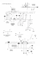 mazo de cablesES and FUSE BOX