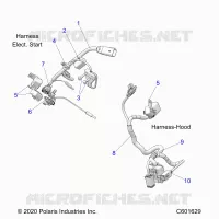 ELECTRICA, WIRE HARNESS, HOOD, ELEC. START