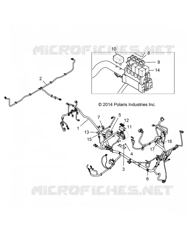 ELECTRICA, HARNESS