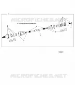 DRIVE TRAIN, TRASERO UNIDAD SHAFT