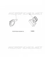CUERNO AND FLASH MODULE