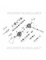 DRIVE TRAIN, PRINCIPAL GEARCASE INTERNALS
