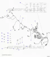 ELECTRICA, HARNESS