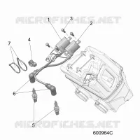 ELECTRICA, IGNITION COIL/SPARK PLUGS