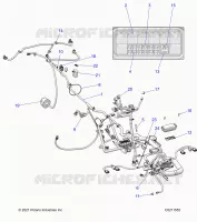 ELECTRICA, HARNESS