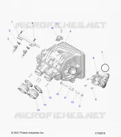 ENGINE, INTAKE INTAKE MANIFOLD, CUERPO DE MARIPOSA, FUEL RAIL- Z24NMC99AM/BM (C702910)