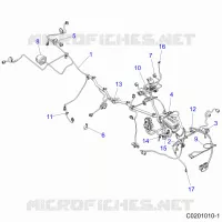 ELECTRICA, HARNESS