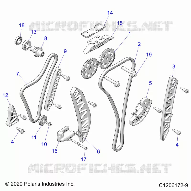 ENGINE, TIMING AND OIL CADENA DRIVES