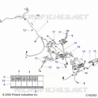 ELECTRICA, HARNESS