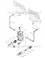 Bomba de aceite LITE GT 0953133 and  EUROPEAN LITE GT E953133 (4928922892C008)