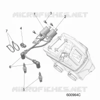 ELECTRICA, IGNITION COIL/SPARK PLUGS