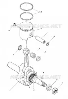 PISTON AND CIGUEÑAL (STAR) (4909540954022A)