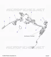 ELECTRICA, WIRE HARNESS, MAIN