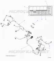 ELECTRICA, WIRE HARNESSES, CHASSIS