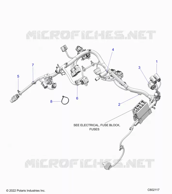 ELECTRICA, WIRE HARNESS, MAIN