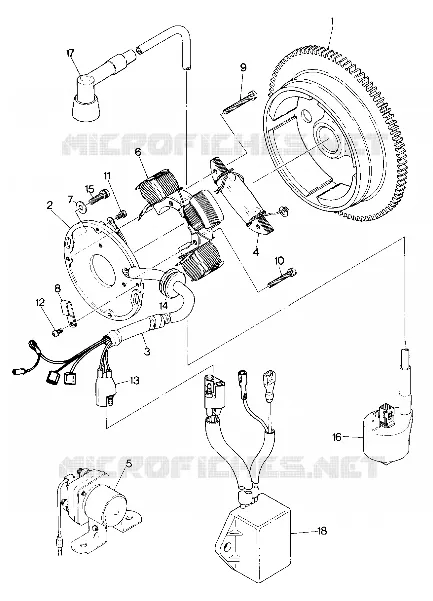 MAGNETO ASSEMBLY (4917711771038A)