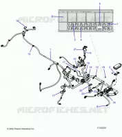 ELECTRICA, HARNESS