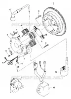 MAGNETO ASSEMBLY TRAIL BOSS / W928527 (4922892289038A)