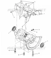 CAJA DEL CIGÜEÑAL TRAN SPORT 0960143 and  EURO TRAN SPORT E960143 (4932273227C005)