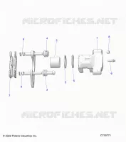 BRAKES, PINZA TRASERA
