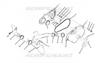 tapa del embrague ASSEMBLY  250 4X4
