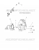 ENGINE, CUERPO DE MARIPOSA AND FUEL RAIL