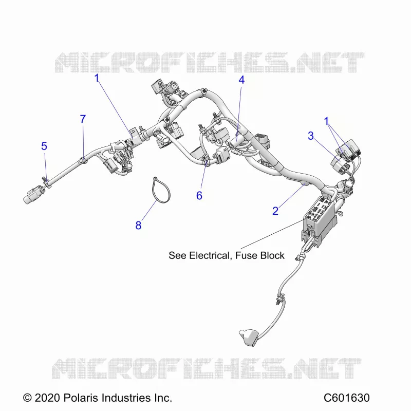 ELECTRICA, WIRE HARNESS, MAIN