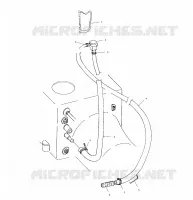 AGUA SIPHON