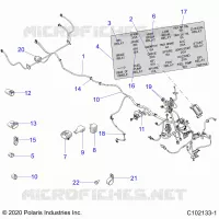 ELECTRICA, HARNESS
