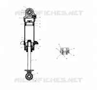 CHOQUE FOX
