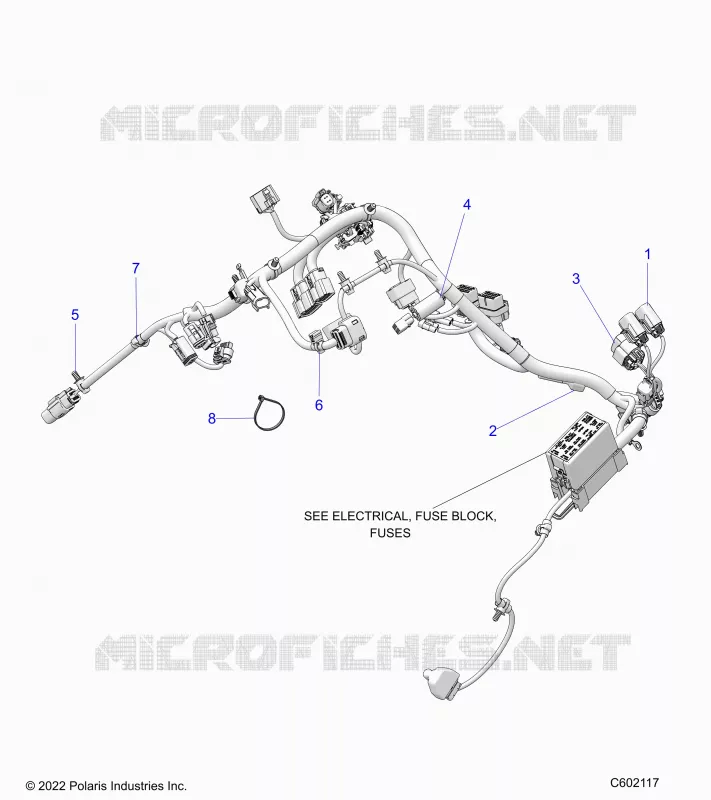 ELECTRICA, WIRE HARNESS, MAIN