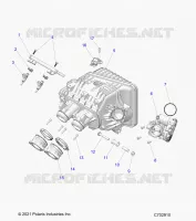 ENGINE, INTAKE MANIFOLD, CUERPO DE MARIPOSA, FUEL RAIL