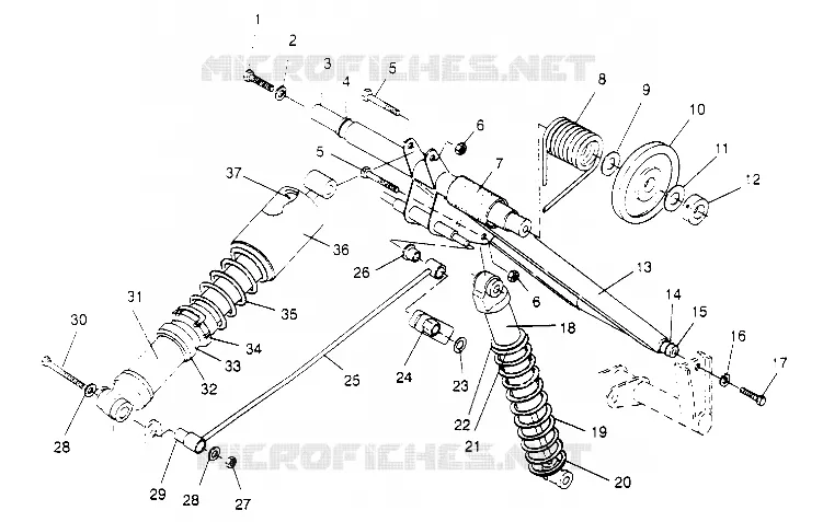 TRASERO ARM PAR