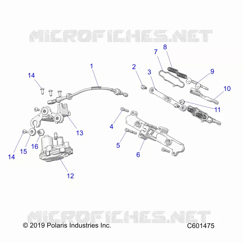 ENGINE, VALVOLA ESCAPE ASM. AND ACTUATOR