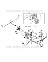 ELECTRICA, HARNESS