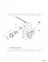 ENGINE, CUERPO DE MARIPOSA AND FUEL RAIL