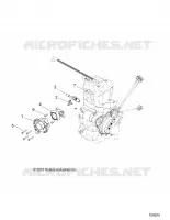 ENGINE, CUERPO DE MARIPOSA AND FUEL RAIL