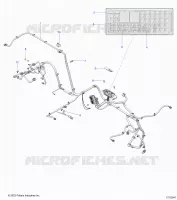 ELECTRICA, WIRE HARNESS
