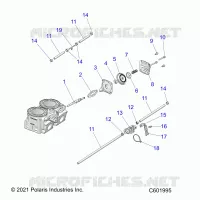 ENGINE, VALVOLA ESCAPES AND SOLENOID