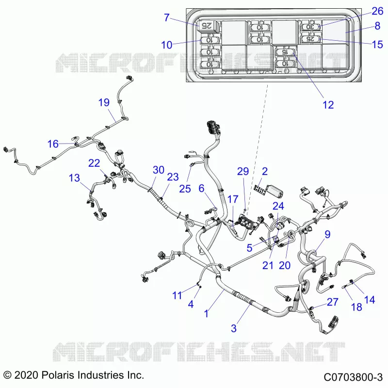 ELECTRICA, WIRE HARNESS