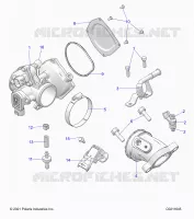 ENGINE, CUERPO DE MARIPOSA AND FUEL RAIL