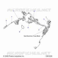 ELECTRICA, WIRE HARNESS, MAIN